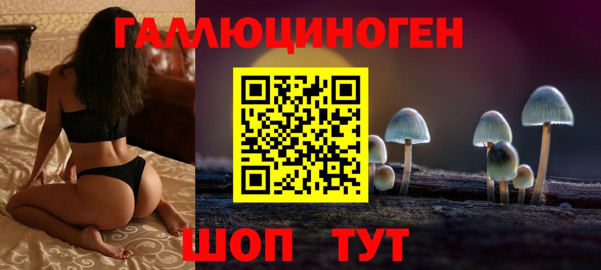 Псилоцибиновые грибы GOLDEN TEACHER  Галлюциногенные грибы мицелий  Кудымкар  купить   Вход с VPN 